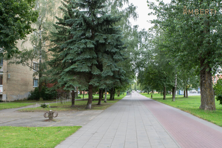 Objekto nuotrauka