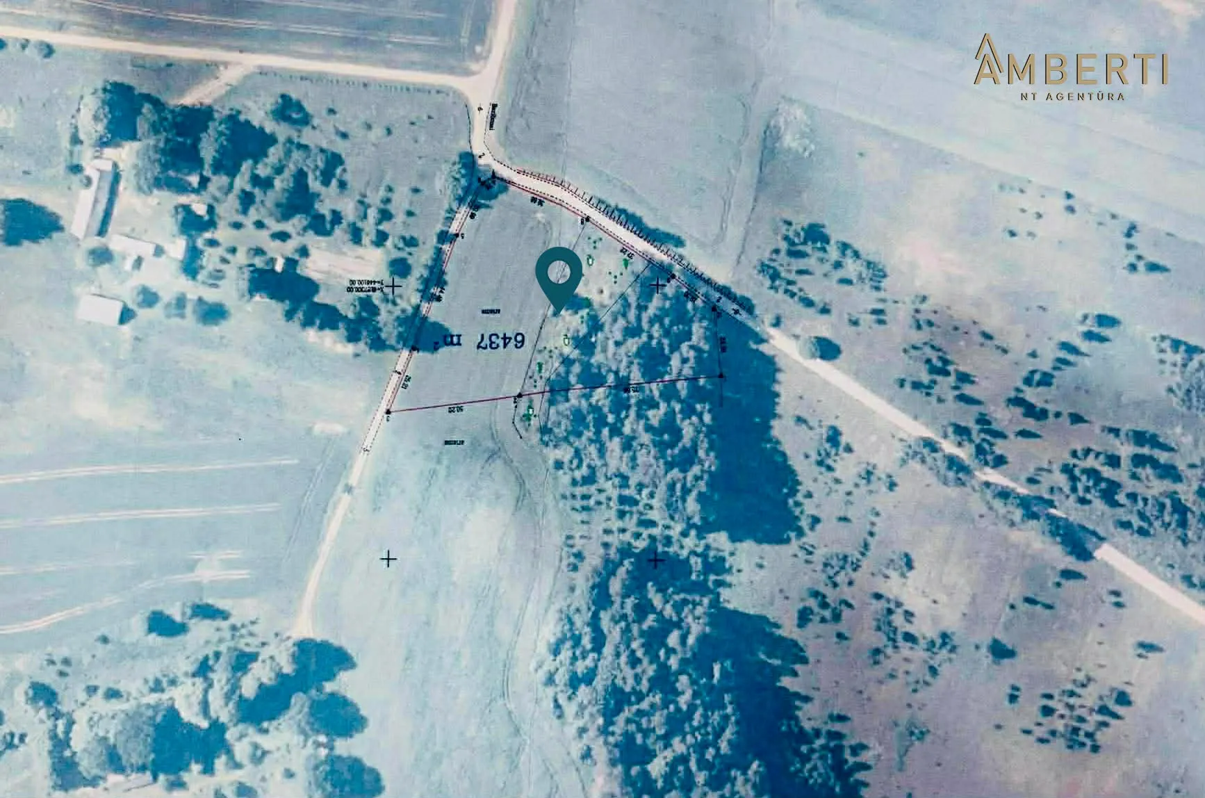 Object Image