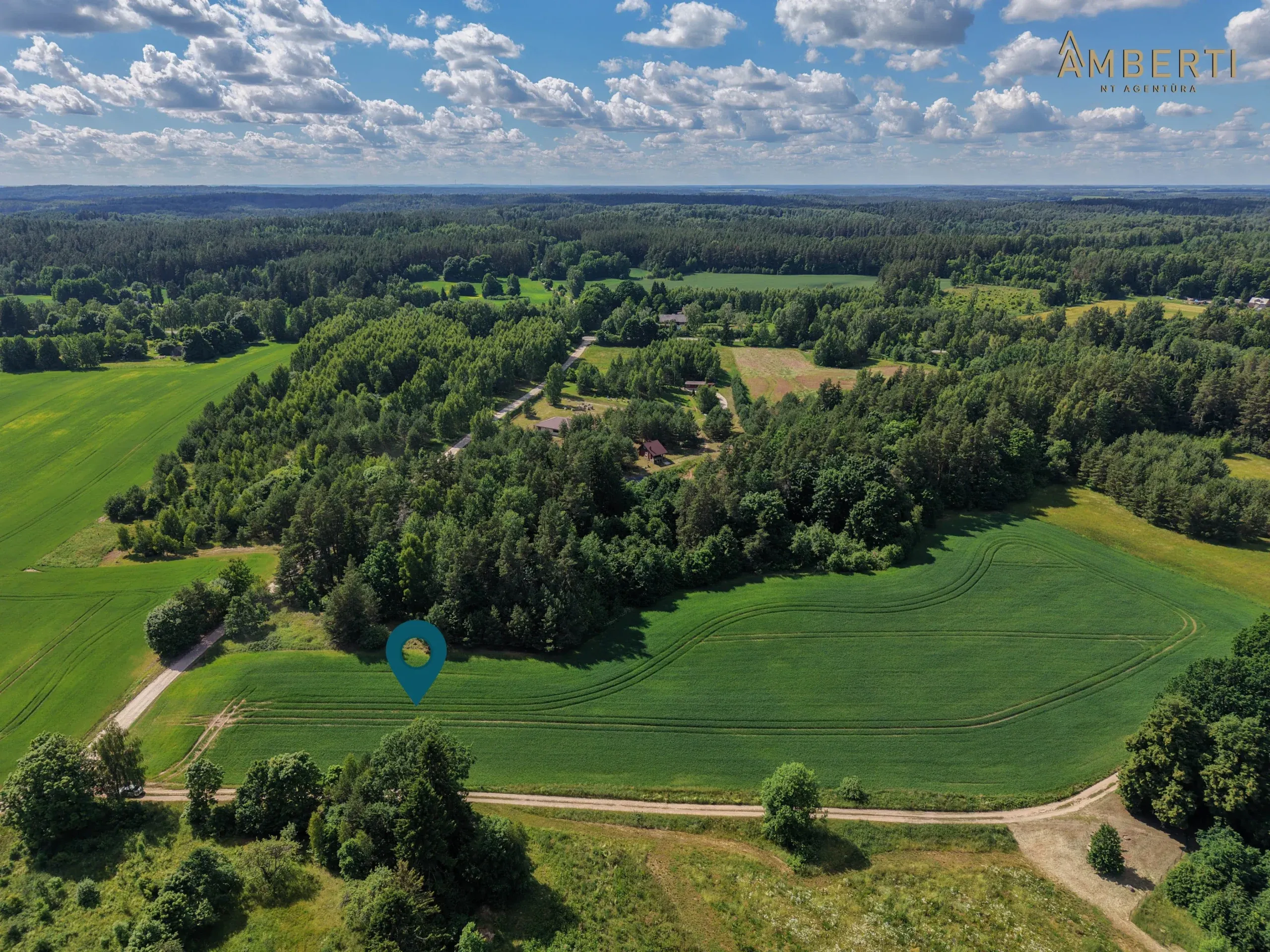 Object Image