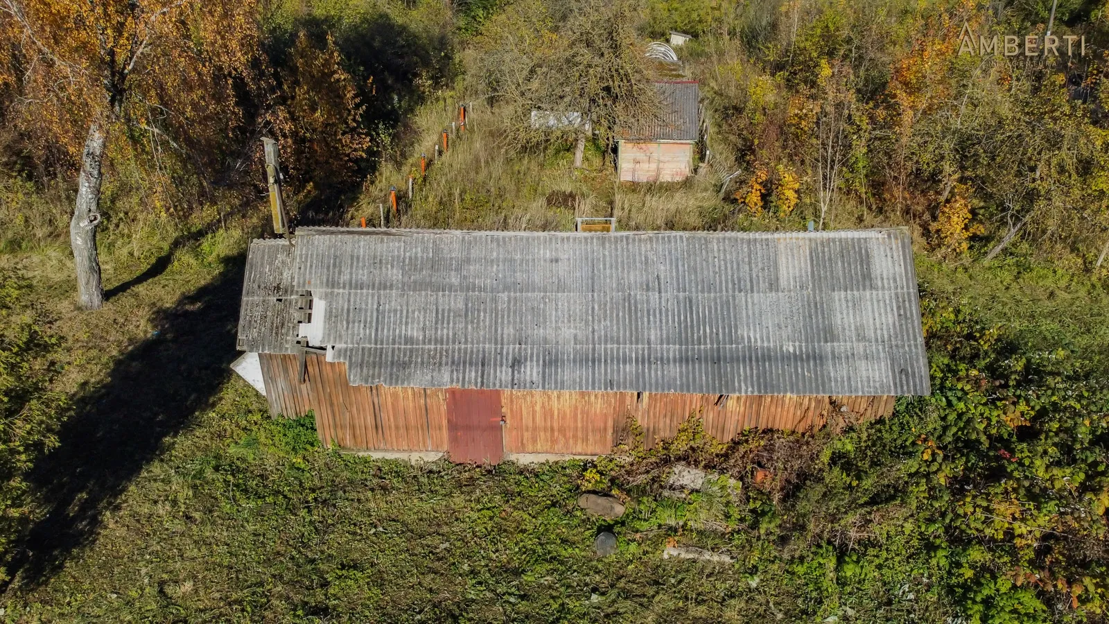 Object Image